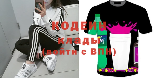 твердый Протвино