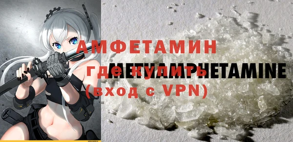 твердый Протвино