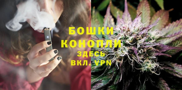 твердый Протвино