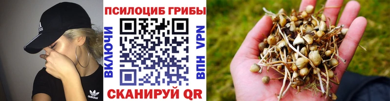 как найти закладки  Сольвычегодск  Псилоцибиновые грибы ЛСД 